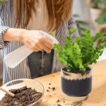Black Gold Ceramic Succulent Plant Pots Floral Small Plant Pots Indoor Modern Ro... - Image 3