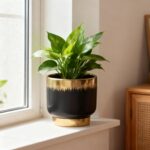 Black Gold Ceramic Succulent Plant Pots Floral Small Plant Pots Indoor Modern Ro... - Image 7