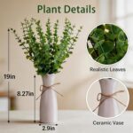 Artificial Eucalyptus Stems with White Vase,19 Inch Small Fake Plants Indoor,Fau... - Image 4
