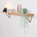 Fake Hanging Plant Eucalyptus Artificial Faux Plants Indoor Small Wall Greenery ... - Image 5