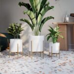 EverNest Claire Mid-Century Modern White Planter and Stand, Indoor Plant Pot, Se... - Image 9
