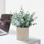 2 Pack Fake Plants Eucalyptus Small Potted Artificial Plants Indoor Greenery for... - Image 5