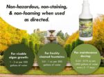Fountain Algaecide and Clarifier - 32oz - Kills and Inhibits All Types of Algae ... - Image 3
