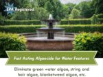 Fountain Algaecide and Clarifier - 32oz - Kills and Inhibits All Types of Algae ... - Image 4