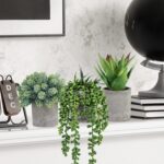 Winlyn Set of 3 Mini Potted Succulents Artificial String of Pearls Aloe Hops Suc... - Image 5