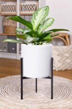 D'vine Dev Modern White Plants Pot Cylinder Planter with Heavy Duty Stand, Small... - Image 4