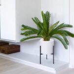 D'vine Dev Modern White Plants Pot Cylinder Planter with Heavy Duty Stand, Small... - Image 7