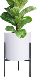 D'vine Dev Modern White Plants Pot Cylinder Planter with Heavy Duty Stand, Small... - Image 8