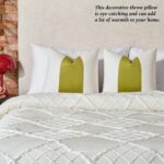AmHoo Pack of 2 Velvet Panel Cotton Pillow Covers Decorative Pillowcase Cushion ... - Image 7