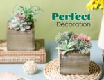 Der Rose 2 Pack Fake Plants Succulents Plants Artificial Cactus Plants in Wood P... - Image 5