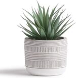 Kurrajong Farmhouse Artificial Plant | 8" Fake Plant for Desk Decor | Artificial... - Image 3