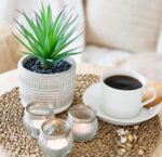 Kurrajong Farmhouse Artificial Plant | 8" Fake Plant for Desk Decor | Artificial... - Image 4