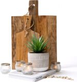 Kurrajong Farmhouse Artificial Plant | 8" Fake Plant for Desk Decor | Artificial... - Image 7