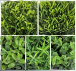 Lemonfilter Small Fake Plants, 5 Pack Mini Potted Artificial Eucalyptus Plant Gr... - Image 4