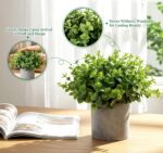 Lemonfilter Small Fake Plants, 5 Pack Mini Potted Artificial Eucalyptus Plant Gr... - Image 5