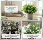 Lemonfilter Small Fake Plants, 5 Pack Mini Potted Artificial Eucalyptus Plant Gr... - Image 6