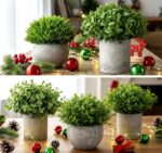 Lemonfilter Small Fake Plants, 5 Pack Mini Potted Artificial Eucalyptus Plant Gr... - Image 7