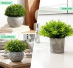 Lemonfilter Small Fake Plants, 5 Pack Mini Potted Artificial Eucalyptus Plant Gr... - Image 8