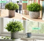 Lemonfilter Small Fake Plants, 5 Pack Mini Potted Artificial Eucalyptus Plant Gr... - Image 9