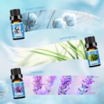 Clean Essential Oils Set for Diffuser & Candle Making | 6 Pack Premium Aromather... - Image 3