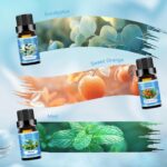 Clean Essential Oils Set for Diffuser & Candle Making | 6 Pack Premium Aromather... - Image 4