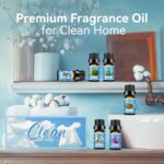Clean Essential Oils Set for Diffuser & Candle Making | 6 Pack Premium Aromather... - Image 5