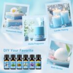 Clean Essential Oils Set for Diffuser & Candle Making | 6 Pack Premium Aromather... - Image 6