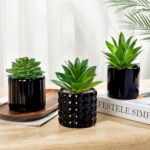 Briful Succulents Plants Artificial in Black Ceramic Pots (Set of 3), Small Fake... - Image 3