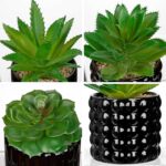 Briful Succulents Plants Artificial in Black Ceramic Pots (Set of 3), Small Fake... - Image 5