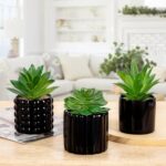 Briful Succulents Plants Artificial in Black Ceramic Pots (Set of 3), Small Fake... - Image 6