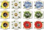 BUZZY Seeds Mini Terracotta Pots 12-Pack with Plant Seeds, Poppy, Sunflower, Dai... - Image 3