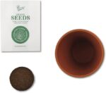 BUZZY Seeds Mini Terracotta Pots 12-Pack with Plant Seeds, Poppy, Sunflower, Dai... - Image 4