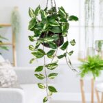 Oairse Artificial Hanging Plants Fake Hanging Plants with Pots Faux Golden Potho... - Image 4