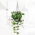 Oairse Artificial Hanging Plants Fake Hanging Plants with Pots Faux Golden Potho... - Image 6