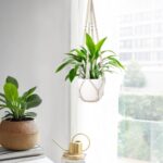 1 Pack Macrame Plant Hanger,Hanging Plant Holder, Boho Home Decor Hanging Basket... - Image 3