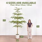 VeriNatural 10FT Artificial Black Olive Tree Indoor with White Planter – Tall Lu... - Image 5