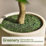 VeriNatural 10FT Artificial Black Olive Tree Indoor with White Planter – Tall Lu... - Image 8