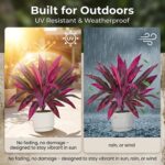 2PCS Large Realistic Artificial Boston Fern & Dragon's Blood Tree Plants, with V... - Image 5