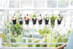 Dahey 10 Pcs 3.8 Inches Small Hanging Flower Pots Metal Iron Bucket Planter for ... - Image 4