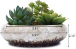 VanEnjoy 7.3 inch Round Large Shallow Succulent Ceramic Glazed Planter Pots with... - Image 3