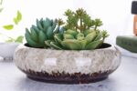 VanEnjoy 7.3 inch Round Large Shallow Succulent Ceramic Glazed Planter Pots with... - Image 4