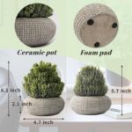 2 Pack Small Fake Plants in Cement Planter for Bathroom Decor, 6.1/5.7 Inch Arti... - Image 4