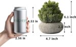 2 Pack Small Fake Plants in Cement Planter for Bathroom Decor, 6.1/5.7 Inch Arti... - Image 6