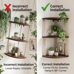 REFGY 3-Tier Corner Floating Shelves with Aesthetic Greenery & Fairy Lights - Pr... - Image 9