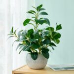 AlphaAcc 17.8 Inch Artificial Ficus Plant Potted Faux Greenery in Gray Round Ver... - Image 5