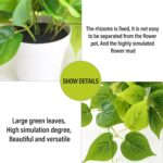 Tiita 1 Pack Fake Plants Artificial Scindapsus Aureus in Pots, Realistic Fake Gr... - Image 4