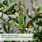 6FT Artificial Olive Tree with Realistic Leaves & Natural Trunk, Faux Silk Olive... - Image 7