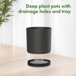 Meowell 8/7/6 inch Plant Pots, 3 Set Cylinder Flower Pots for Outdoor Indoor Pla... - Image 4