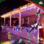 Holiday Bright Lights Big Seed String Lights 16FT, 50 RGB Color-Changing LEDs, P... - Image 5