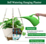 Koalaime Hanging Planters for Indoor Plants, 2 Pack 10 Inch Self Watering Pots w... - Image 4